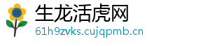 生龙活虎网